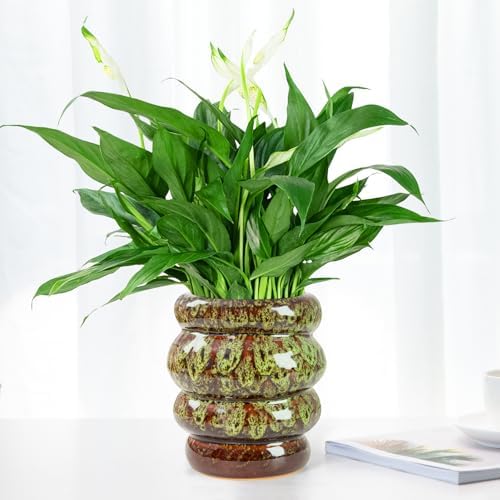 5 inch Ceramic Plant Pot - Flower Pot for Indoor Plants with Drainage Hole - Image 2