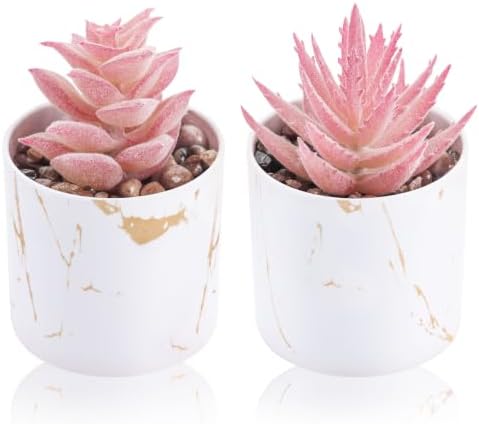 Der Rose 2 Pack Fake Plants Pink Room Decor for Office Desk Accessories by DerRose