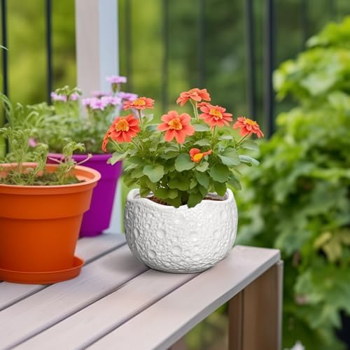 Ceramic Pots for Plants - 6 Inch Plant Pot for Indoor Outdoor, Decorative Orchid Pots with Drainage Hole, Unique Round Modern Planters, Home Decor, Gifts for Plant Lovers, White - Image 4