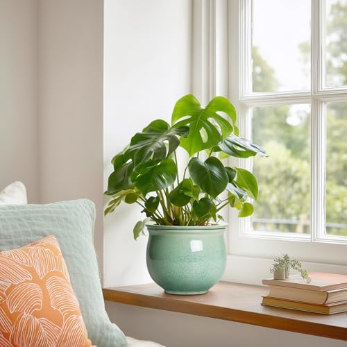 Ceramic Self Watering Pots, 6 Inch African Violet Pots with Absorbent Inner Pot, Round Self Watering Planter for Indoor Plants, Ceramic Pot for Plants, House Decor, Gifts for Women Men, Green - Image 4