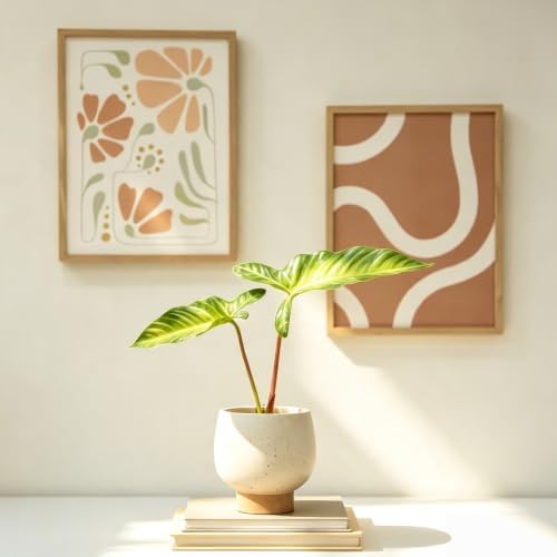5.5" Cream Speckle Ceramic Indoor Planter with Tan Base, Small Outdoor Pots - Image 4