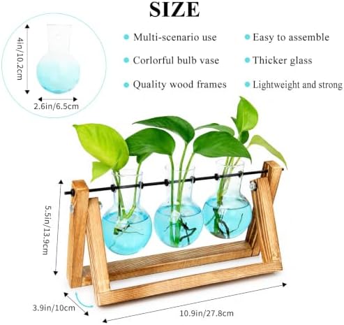 XXXFLOWER Plant Terrarium Kit with Wooden Stand 3 Gradient Blue Bulb Vases - Image 2