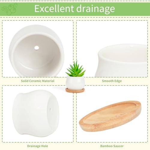 SHECIPIN Succulent Pots, White Mini 2.5 inch Ceramic Flower Planter Pot with Bamboo Tray, Pack of 12 - Plants Not Included - Image 6