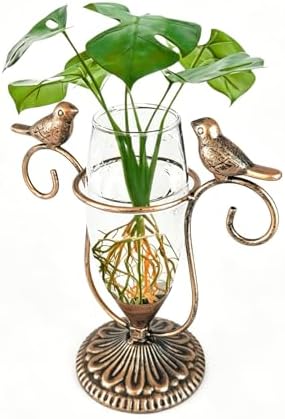 Desktop Glass Propagation Vases, Plant Terrarium with Metal Stand by POXOHO