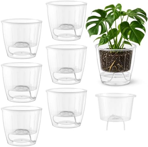 Clear Self Watering Pots for Indoor Plants, 6-Pack 6.7'' Clear Plant Pots with Drainage, Self Watering Planter, African Violet Pot, Semi Hydroponic Pot for Orchids, Flowers, Herbs by KvyusFlourish