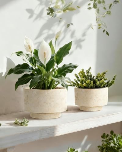Succulent Pots, 8"+6" Plant Pots, Ceramic Planters for Indoor Plants - Image 3