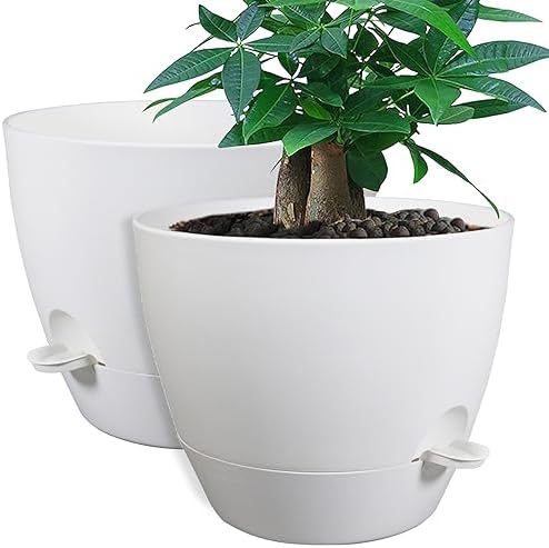 UOUZ 12inch 2Pack Large Self Watering Planters, Plastic Plant Pots with 60oZ Removable Deep Reservoir and Multi Mesh Drainage Holes for Indoor Outdoor Garden Plants and Flowers, White by UOUZ