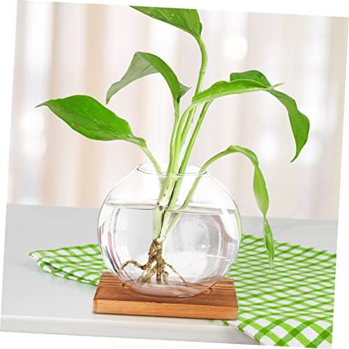 Hydroponic Glass Plant Vase with Wooden Base 5.03In Desktop Planter for Indoor Propagation Terrarium Home Office Decoration and Housewarming Gift - Image 7