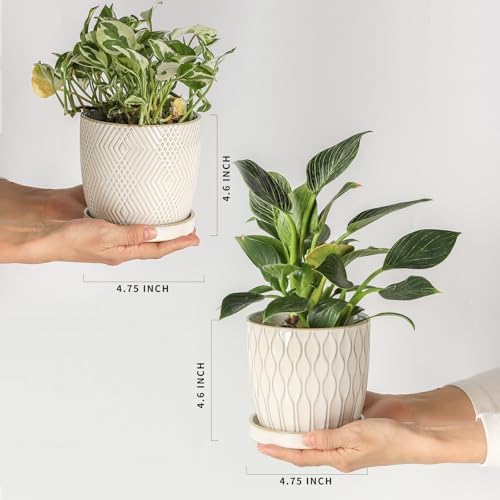 Nihow Ceramic Plant Pots with Drainage Hole & Saucer, 4.75 Inch, White-3 - Image 2