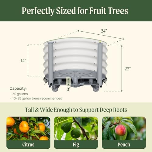 Rolling Citrus Tree Planter Gen 3, Self-Watering 24” Wide Round Large Plant Pots for Lemon Trees Tomatoes Flowers, Raised Garden Beds with Wheels for Outdoor Patio Porch, 30 Gallon, Modern Gray - Image 2