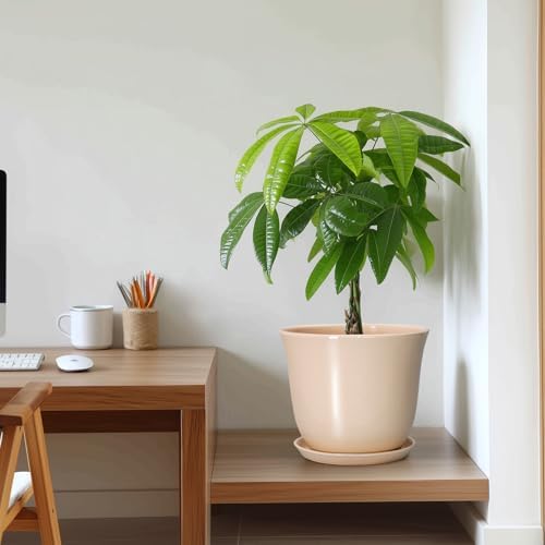 Ceramic Planter, 10 Inch Plant Pot for Indoor Plants, Beige - Image 7