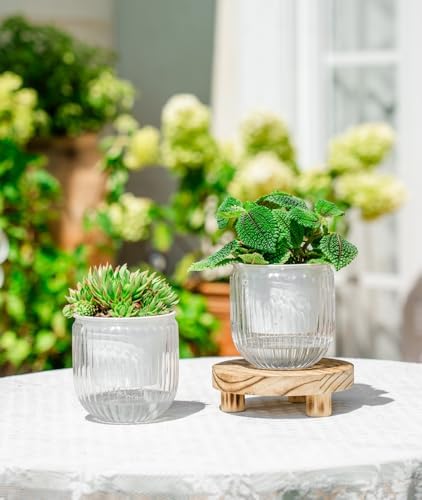 Melphoe Self Watering Pots for Indoor Plants Planter, 4.3 Inch 2 Pack Planters Self Watering Plant Pots for Flower, Houseplants, Succulent, African Violets and Cactus with Drainage - Image 2
