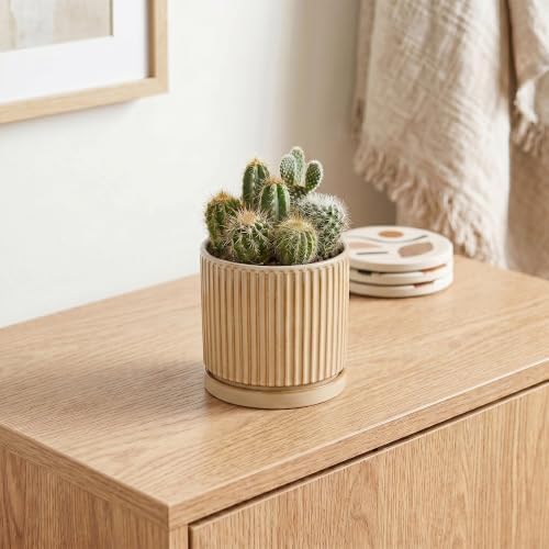 Ceramic Plant Pot, 4 Inch Pots for Plants with Saucer, Beige - Image 5