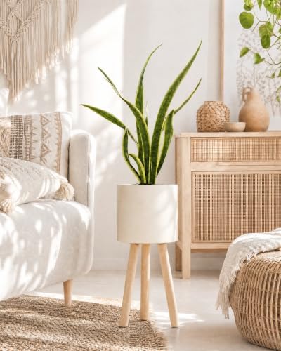 Bamworld Single Plant Holder for Indoor Plants Metal Planter Stand 6.9in - Image 2