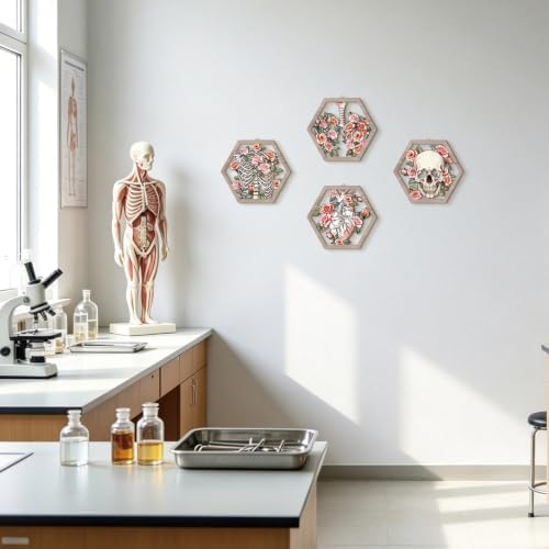 HPNIUB Medical Human Anatomy Wall Decor, Farmhouse Medical Anatomical Hanging Wooden Wall Art, 4 Pieces Pink Floral Heart Skull Anatomy Wood Sign for Nursing Doctor Room Living Room(11''x9.8'') - Image 4
