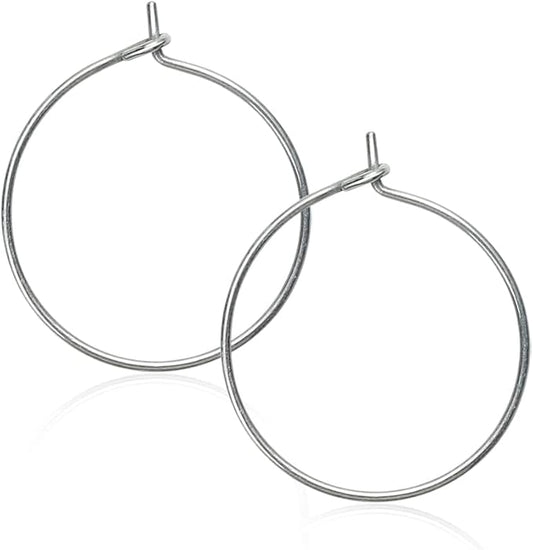 2pcs 20G Pure Titanium Earring Hoops DIY Beaded Earrings Findings Components for Jewelry Making 20mm, Hypoallergenic Beading Hoop Earring Making Kit for Women Men Sensitive Ears