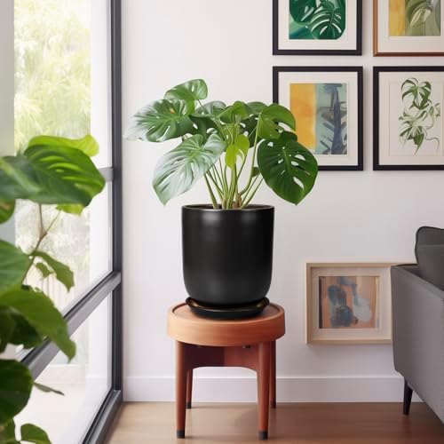 Ceramic Planter 10 Inch - Ceramic Pot for Indoor Plants Outdoor Plant Pot with Drainage Hole and Saucer Cylinder Flower Pot Black - Image 5