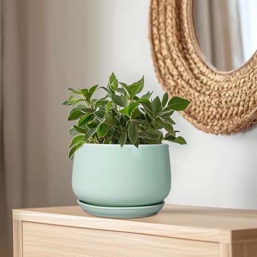 G EPGardening Ceramic Pots for Plants, 9 Inch Ceramic Planter, Green - Image 5