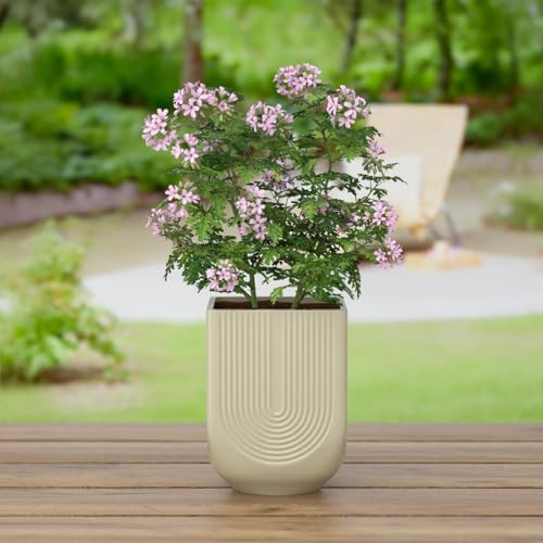 Ceramic Planter, 6 Inch Square Plant Pot with Drainage, Ivory - Image 5