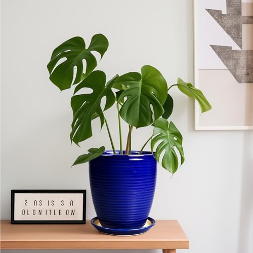 Round Ceramic Planter - Modern 8 Inch Plant Pot with Drainage Hole and Tray for Flower Indoor Outdoor Garden Decor Blue - Image 4