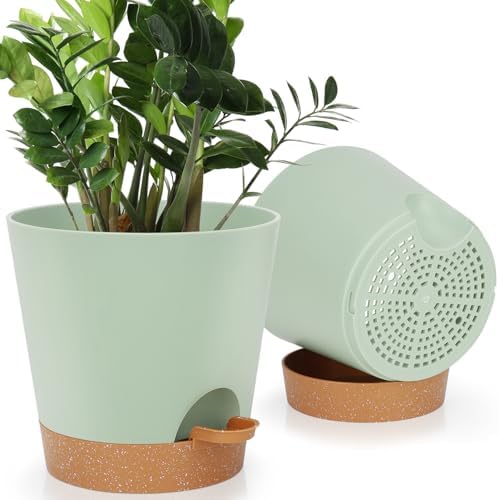 YNNICO 8-Inch Plant Pots, Self-Watering Planters with Drainage Holes & Saucers for Indoor and Outdoor Plants (2-Pack, Green) by AFamilyofGardenLovers