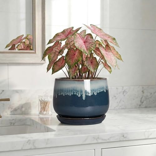 7 Inch Plant Pot Indoor, Ceramic Plant Pots, Retro Blue - Image 6