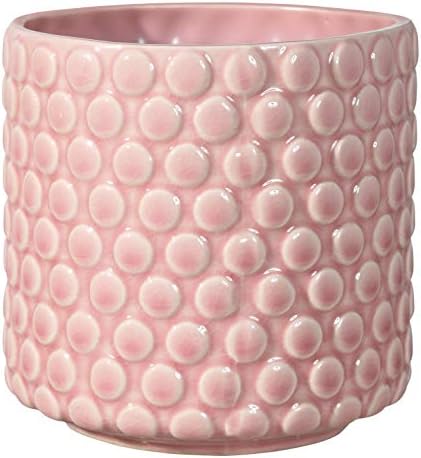 Nordring Stoneware Flower Pot – 5’’ Rose Planter with Polka Dots – Modern Ceramic Pot with Crackle Glaze – No Drainage Holes – Holds 4’’ Indoor Plant by Nordring