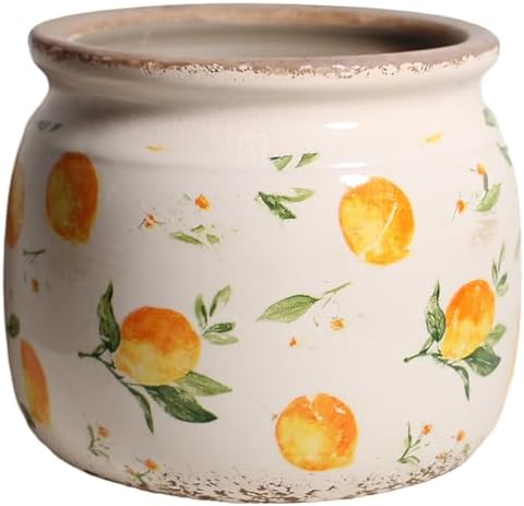 Lemon Ceramic Planter, Italian Mediterranean Flower Pot for Indoor Plants by XiaanJiaju