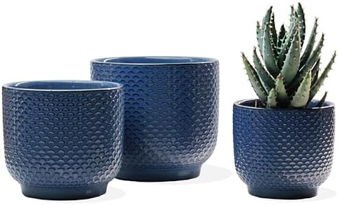 4 + 5 + 6 Inch Ceramic Pots for Indoor Plants, Succulents Plant Pots, Orchid Flower Pot with Drainage Hole, Modern Clay Stoneware Planters, Set of 3 (Dusty Blue, 4+5+6 Inch) by Homephyte