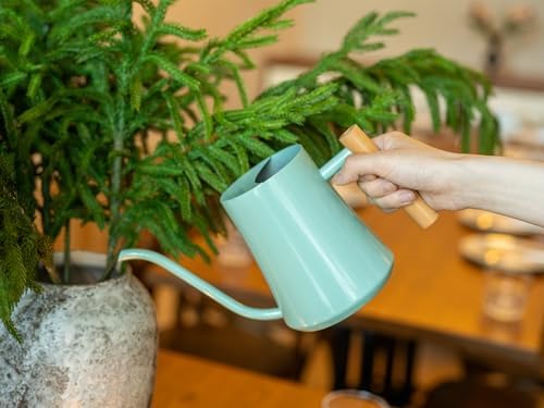 Green Moon 1L/35oz Metal Watering Can Indoor with Long Spout, Mint Green - Image 4