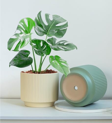 Ceramic 4.9+6.3 inch Planters, Modern Home and Office Flowerpot, Indoor and Outdoor Flowerpot with Drainage Hole (Green) - Image 5