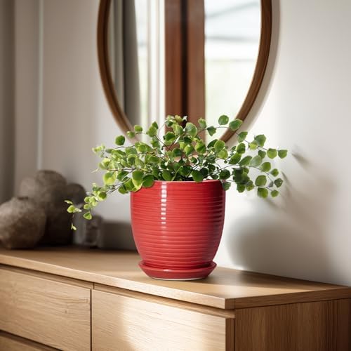 6 Inch Ceramic Plant Pot - Ceramic Pots for Plants, Round Planter with Drainage Hole and Saucer, Modern Flower Pots for Indoor Plants, Desk Home Office Decor, Plant Lover Gifts, Glossy Red - Image 3