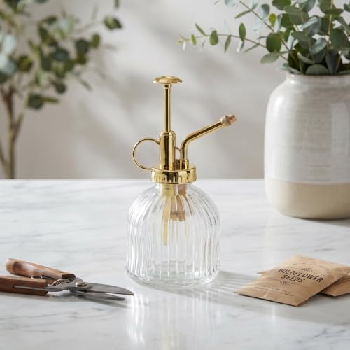 SHINEOFI Glass Watering can Retro Plant Mister Spray Bottle with Transparent Body Long Mouth Pour Spout 6.29 X 2.95 X 2.95 in for Indoor Outdoor Succulents Flowers Home Garden - Image 5