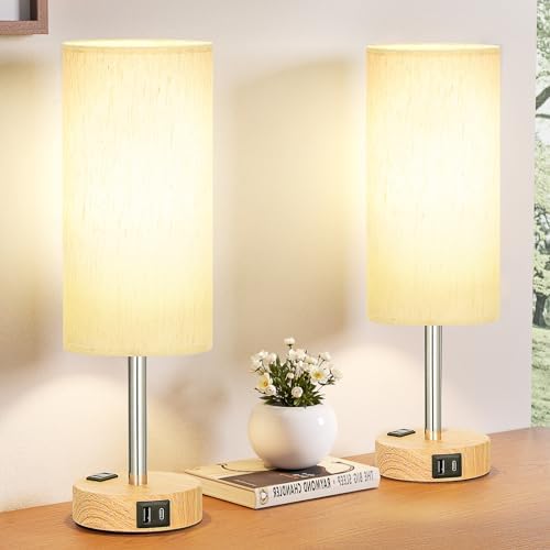 Fenmzee Bedside Table Lamp Set of 2 - Dimmable Touch, USB A+C, AC Outlet by Fenmzeelighting