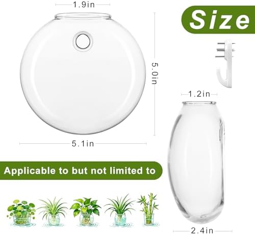 Wall Propagation Planters, 4 Pack Oblate Hanging Plant Holder Vase - Image 2