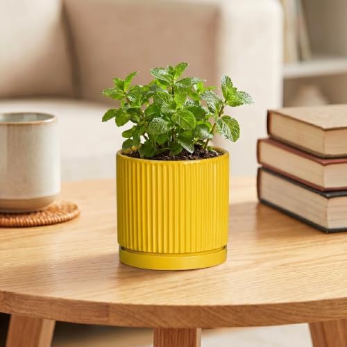 Ceramic Pots for Plants, 4 Inch Plant Pots with Saucer, Yellow - Image 4