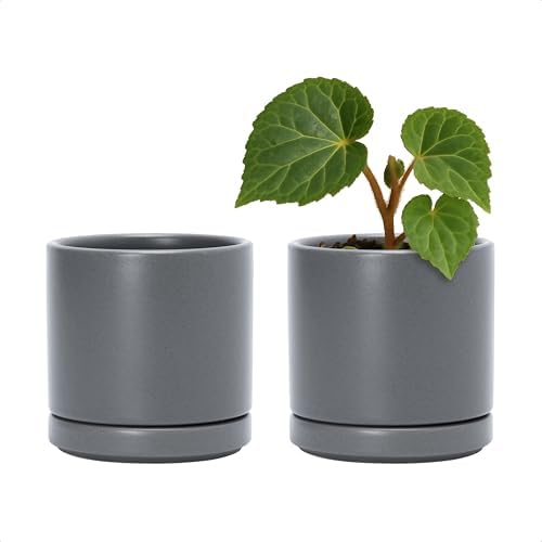 D'vine Dev 2-Pack Ceramic Pots with Saucers, Grey, 3.5 in, 94-V-A-3 by DvineDevPlanterPotsandStand