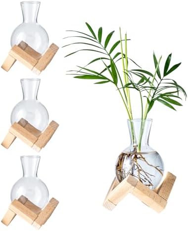 Propagation Stations, Propagation vases with Wooden Stand, Small Tabletop Glass Bulb Vases for Hydroponics Plant Propagation Station Home Office Decoration, Gift for Women Plant Lovers (4) by wangsdjy