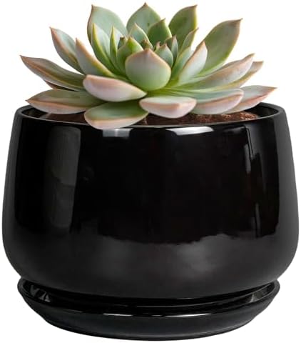 G EPGardening 6 Inch Planter, Ceramic Pot for Plants, Black by GEPGardening