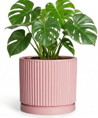 8 Inch Plant Pot, Ceramic Flower Pots, Round Plant Pots, Pink by Unknown