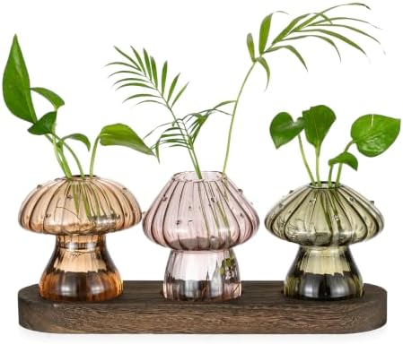 Hewory Plant Propagation Stations: 3PCS Amber Mushroom Vase with Wood Tray by Hewory