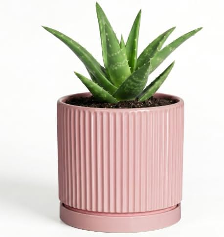 Ceramic Succulent Pots, 4 Inch Pots for Plants, Round Planter, Pink by Unknown