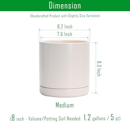 D'vine Dev 8.2 Inch Ceramic Planter Pot, Oatmeal, 94-O-D-8 - Image 3
