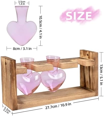 Plant Terrarium Propagation Stations Hydroponics - Image 4