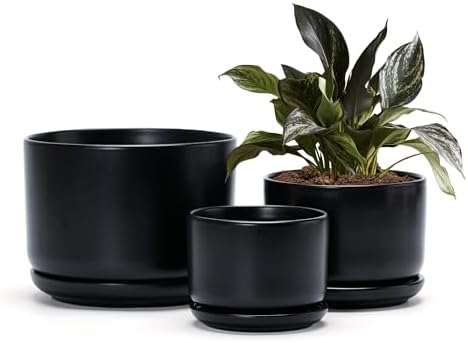 Flower Pots,Ceramic Pots with Drainage Holes & Saucer Set of 3(Matte Black) by TonSin