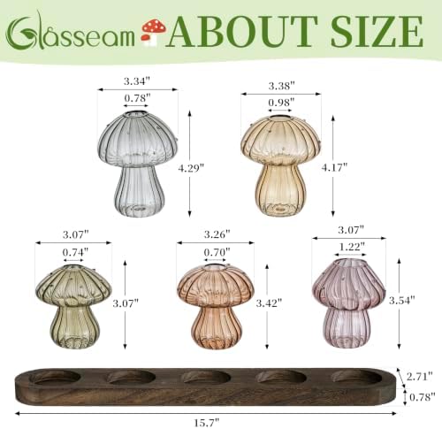 Glasseam 5 Pcs Mushroom Propagation Station: Glass Terrarium Jar for Plants - Image 5