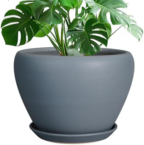 Ceramicfor 10 Inch Plant Pot, Ceramic Planter, Matte Gray by Ceramicfor