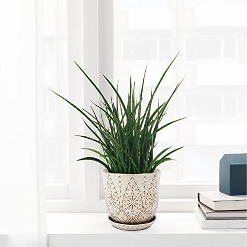 Gepege 8 Inch White Ceramic Plant Pot with Drainage & Saucer - Image 6