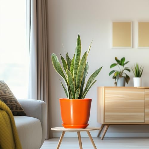 Ceramic Planter - 8 Inch Plant Pot with Drainage Hole and Saucer, Modern Planters for Indoor Outdoor Plants, Round Flower Pot, Home Patio Office Decor, House Warming Gifts, Orange - Image 5