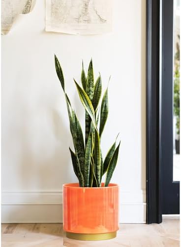 Gepege Peach Indoor Plant Pots for Plants, Large Ceramic Planter with Drainage Hole, 9.6-inch Succulent Orchid Flower Pot - Rainbow Pearl Glaze - Image 7